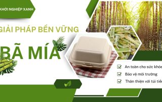 Khởi nghiệp xanh - Giải pháp bền vừng từ bã mía