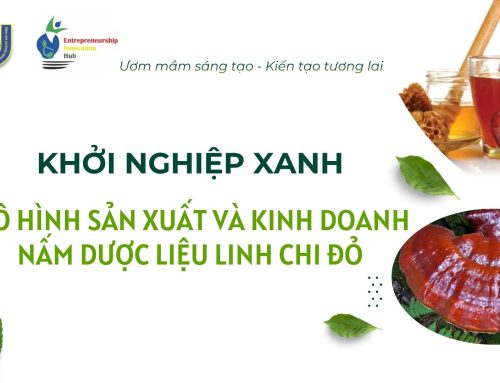 Workshop Khởi nghiệp xanh MITC: Sản xuất và kinh doanh nấm linh chi đỏ