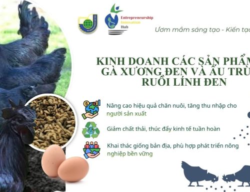 Dự án kinh doanh gà xương đen kết hợp ấu trùng ruồi lính đen – Mô hình kinh tế tuần hoàn trong nông nghiệp xanh