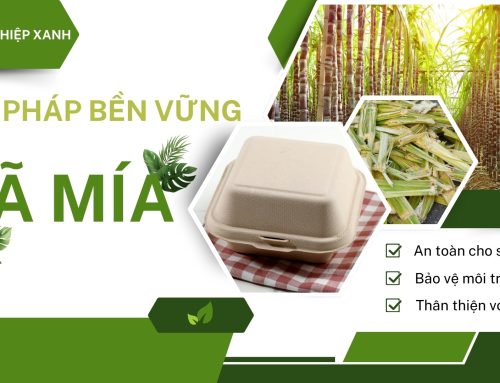 Khởi nghiệp xanh – Giải pháp bền vừng từ bã mía
