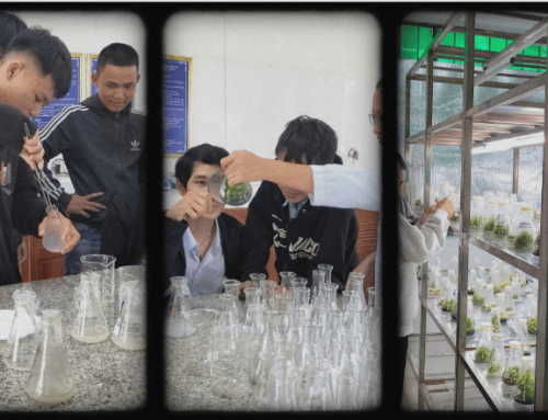 Học từ trải nghiệm – Tiếp cận công nghệ hiện đại từ trong lớp học